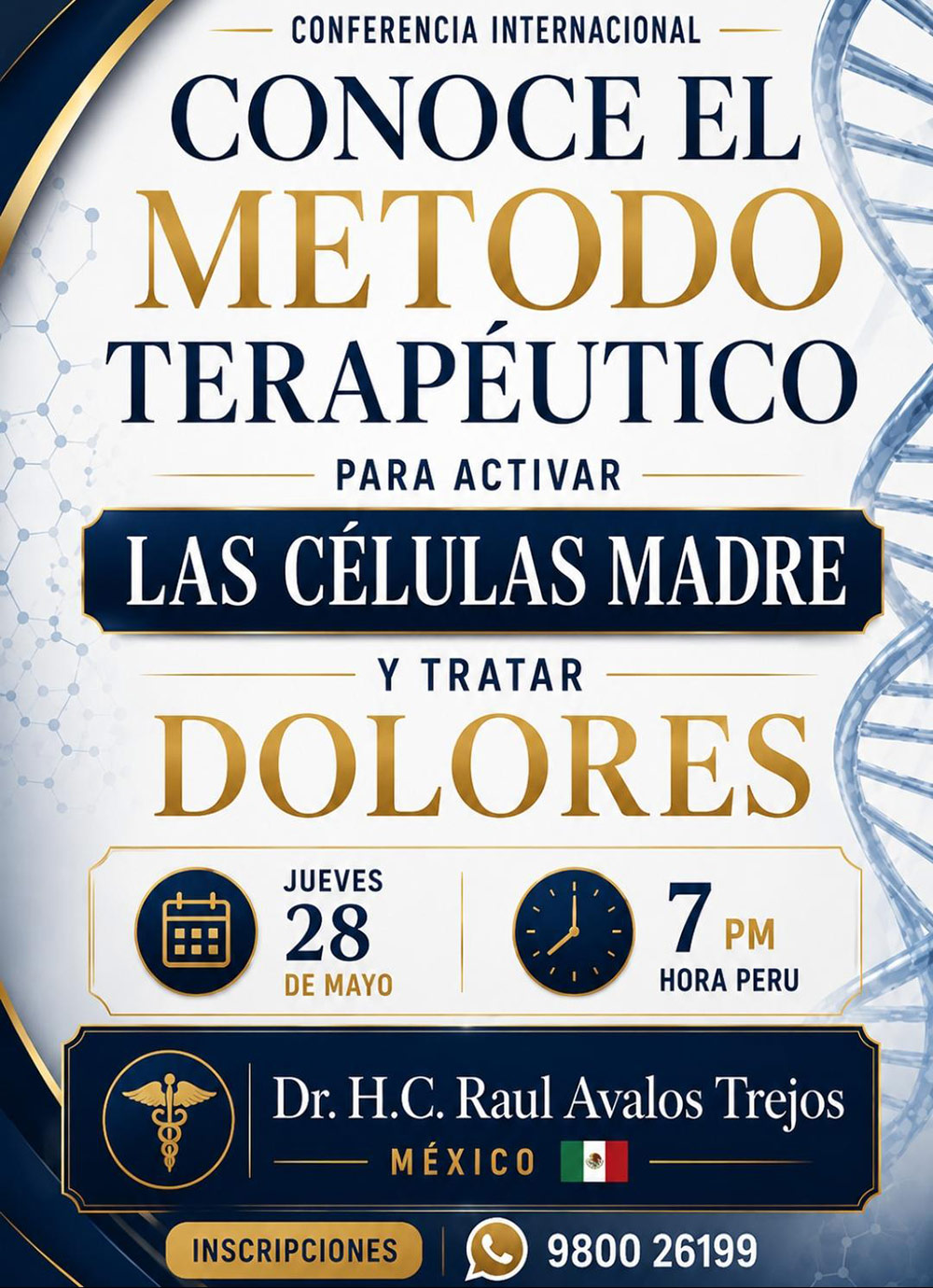 El Método Terapéutico para Activar las Células Madre